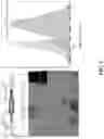 Fig. 02 - COMBINATORIAL CANCER IMMUNOTHERAPY