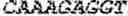 Fig. 167 - MAGEA1 IMMUNOGENIC PEPTIDES, BINDING PROTEINS RECOGNIZING MAGEA1 IMMUNOGENIC PEPTIDES, AND USES THEREOF