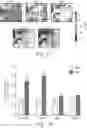 Fig. 09 - Motor function neural control interface for spinal cord injury patients