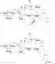 Fig. 22 - Saponin purification