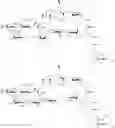 Fig. 63 - Saponin purification