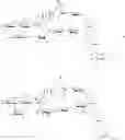 Fig. 75 - Saponin purification