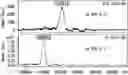 Fig. 01 - NOVEL PROCESSES FOR PREPARING CONJUGATES OF THE IL-2 PROTEIN