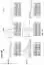 Fig. 06 - SERUM ALBUMIN-BINDING POLYPEPTIDES
