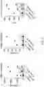 Fig. 07 - PEPTIDES FOR IMMUNOTHERAPY