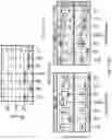 Fig. 32 - PEPTIDES FOR IMMUNOTHERAPY
