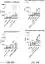 Fig. 43 - PEPTIDES FOR IMMUNOTHERAPY