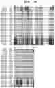 Fig. 08 - INSECTICIDAL POLYPEPTIDES HAVING IMPROVED ACTIVITY SPECTRUM AND USES THEREOF