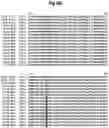 Fig. 28 - INSECTICIDAL POLYPEPTIDES HAVING IMPROVED ACTIVITY SPECTRUM AND USES THEREOF