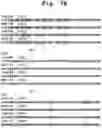 Fig. 33 - INSECTICIDAL POLYPEPTIDES HAVING IMPROVED ACTIVITY SPECTRUM AND USES THEREOF