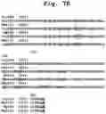 Fig. 35 - INSECTICIDAL POLYPEPTIDES HAVING IMPROVED ACTIVITY SPECTRUM AND USES THEREOF