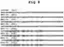 Fig. 37 - INSECTICIDAL POLYPEPTIDES HAVING IMPROVED ACTIVITY SPECTRUM AND USES THEREOF