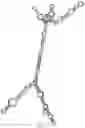 Fig. 12 - Long Non-Coding RNA-Expression In Fungal Hosts