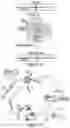 Fig. 126 - METHODS AND COMPOSITIONS FOR EVOLVING BASE EDITORS USING PHAGE-ASSISTED
CONTINUOUS EVOLUTION (PACE)