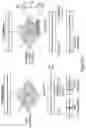 Fig. 14 - METHODS AND COMPOSITIONS FOR EVOLVING BASE EDITORS USING PHAGE-ASSISTED
CONTINUOUS EVOLUTION (PACE)