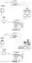 Fig. 18 - METHODS AND COMPOSITIONS FOR EVOLVING BASE EDITORS USING PHAGE-ASSISTED
CONTINUOUS EVOLUTION (PACE)