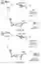 Fig. 19 - METHODS AND COMPOSITIONS FOR EVOLVING BASE EDITORS USING PHAGE-ASSISTED
CONTINUOUS EVOLUTION (PACE)