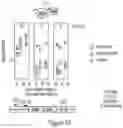 Fig. 50 - METHODS AND COMPOSITIONS FOR EVOLVING BASE EDITORS USING PHAGE-ASSISTED
CONTINUOUS EVOLUTION (PACE)