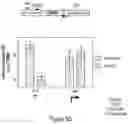 Fig. 54 - METHODS AND COMPOSITIONS FOR EVOLVING BASE EDITORS USING PHAGE-ASSISTED
CONTINUOUS EVOLUTION (PACE)