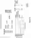 Fig. 62 - METHODS AND COMPOSITIONS FOR EVOLVING BASE EDITORS USING PHAGE-ASSISTED
CONTINUOUS EVOLUTION (PACE)