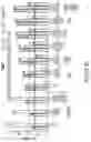 Fig. 68 - METHODS AND COMPOSITIONS FOR EVOLVING BASE EDITORS USING PHAGE-ASSISTED
CONTINUOUS EVOLUTION (PACE)