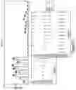 Fig. 83 - METHODS AND COMPOSITIONS FOR EVOLVING BASE EDITORS USING PHAGE-ASSISTED
CONTINUOUS EVOLUTION (PACE)