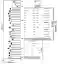 Fig. 98 - METHODS AND COMPOSITIONS FOR EVOLVING BASE EDITORS USING PHAGE-ASSISTED
CONTINUOUS EVOLUTION (PACE)