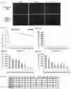 Fig. 09 - COMBINATORIAL SINGLE MOLECULE ANALYSIS OF CHROMATIN