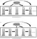 Fig. 01 - NUCLEIC ACID SEQUENCING METHOD