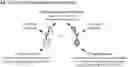 Fig. 01 - THERAPEUTIC COMPOSITION OF CURE-PRO COMPOUNDS FOR TARGETED DEGRADATION OF BET DOMAIN PROTEINS, AND METHODS OF MAKING AND USAGE