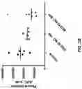 Fig. 07 - ENGINEERED LEUCINE DECARBOXYLASES