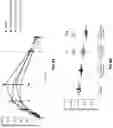 Fig. 23 - ENGINEERED LEUCINE DECARBOXYLASES