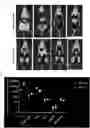 Fig. 01 - A NOVEL MUSCLE-SPECIFIC PROMOTER