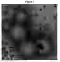 Fig. 01 - IMPROVED MICROCAPSULES AND METHOD FOR THE PRODUCTION AND USE THEREOF