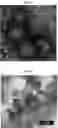 Fig. 02 - IMPROVED MICROCAPSULES AND METHOD FOR THE PRODUCTION AND USE THEREOF