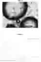 Fig. 04 - IMPROVED MICROCAPSULES AND METHOD FOR THE PRODUCTION AND USE THEREOF