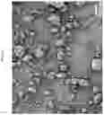 Fig. 02 - Oxidative dehydrogenation catalyst compositions