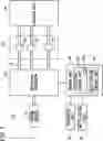 Fig. 02 - VACUUM PRESSURE SUPPLY SYSTEM