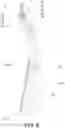Fig. 09 - COOLING/HEATING SHAVER