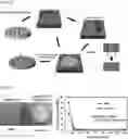 Fig. 02 - SOLID MICRONEEDLE COMPRISING DRUG AND METHOD FOR MANUFACTURING THE SAME