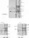 Fig. 07 - Pleated filter preparation system
