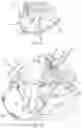 Fig. 08 - AFT-FACING TRANSOM SEATING FOR A BOAT