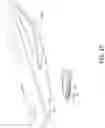Fig. 34 - WATER PUMP FOR WATERCRAFT