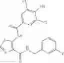Fig. 79 - Dichlorophenol HSD17B13 inhibitors and uses thereof