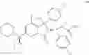 Fig. 06 - Isoindolinone inhibitors of the MDM2-P53 interaction and process for making them
