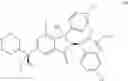 Fig. 205 - Isoindolinone inhibitors of the MDM2-P53 interaction and process for making them