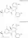 Fig. 42 - Isoindolinone inhibitors of the MDM2-P53 interaction and process for making them