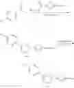 Fig. 11 - BICYCLO[1.1.1]PENTANE COMPOUNDS FOR THE TREATMENT AND PROPHYLAXIS OF HEPATITIS B VIRUS INFECTION