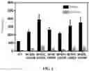 Fig. 07 - METHOD AND RECOMBINANT POLYPEPTIDE FOR INCREASING PRODUCTION OF INDIGOID COMPOUND