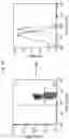 Fig. 04 - CD127 EXPRESSION INVERSELY CORRELATES WITH FOXP3 AND SUPPRESSIVE FUNCTION OF CD4+ TREGS
